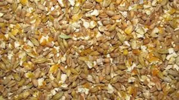 Diferencias entre el español y el ingles