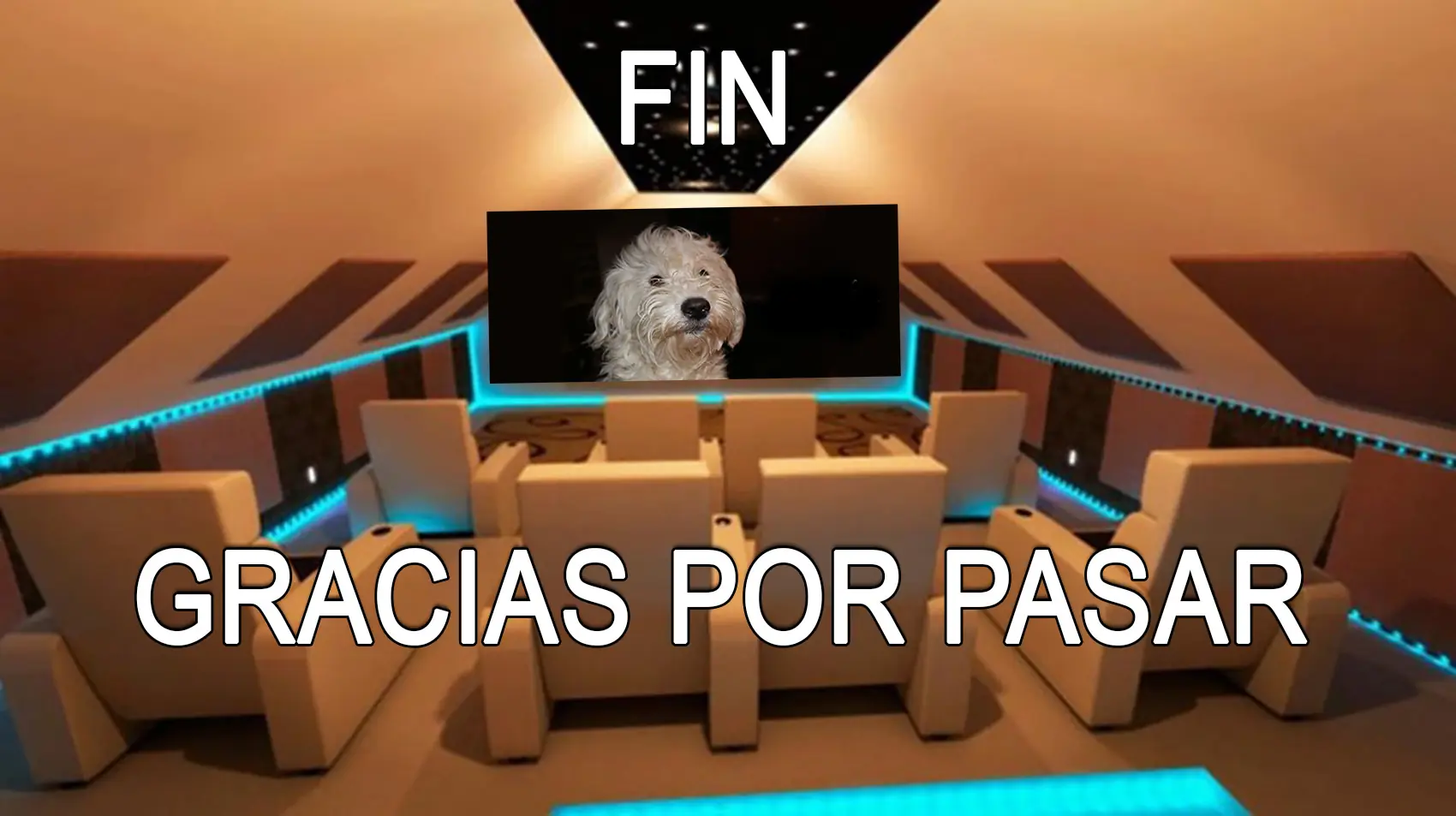 Cine