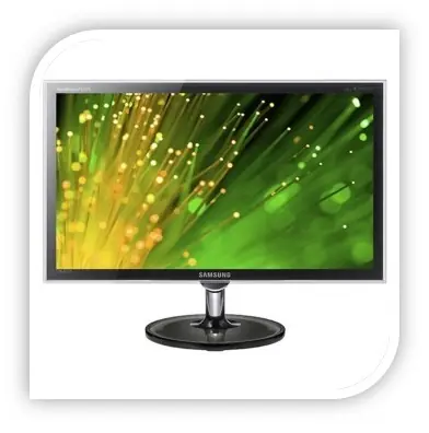 acer acer