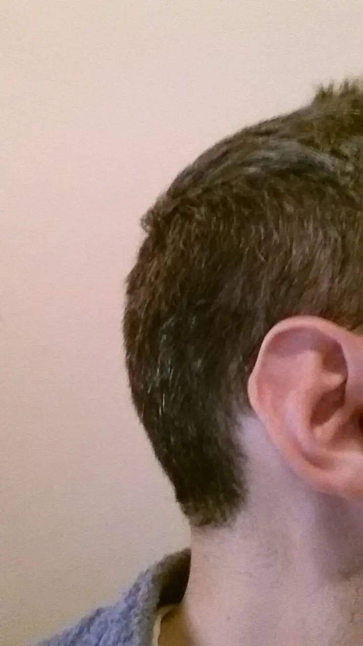 la oreja