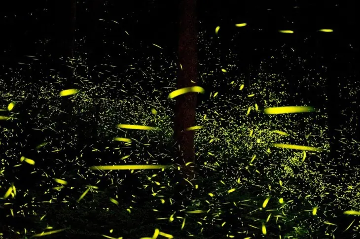 lugares nocturnos df