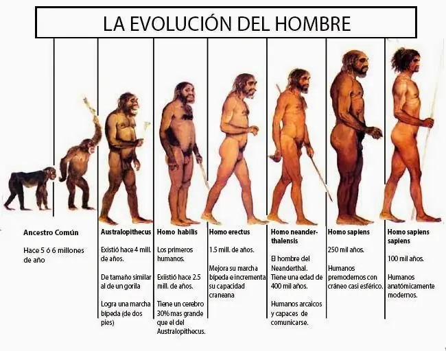 Porque discriminamos y de donde surgen los DD.HH
