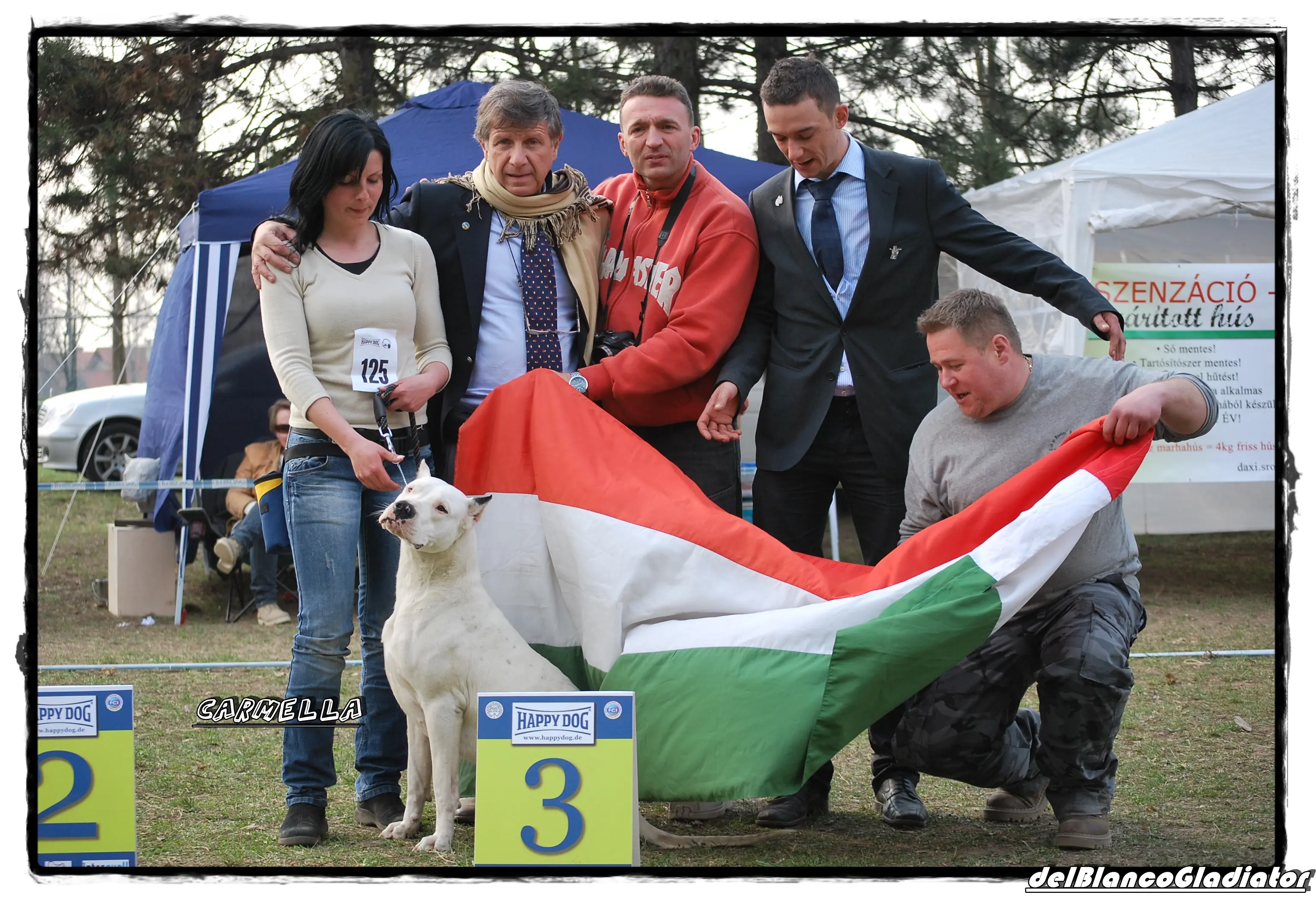 Dogo Argentino
