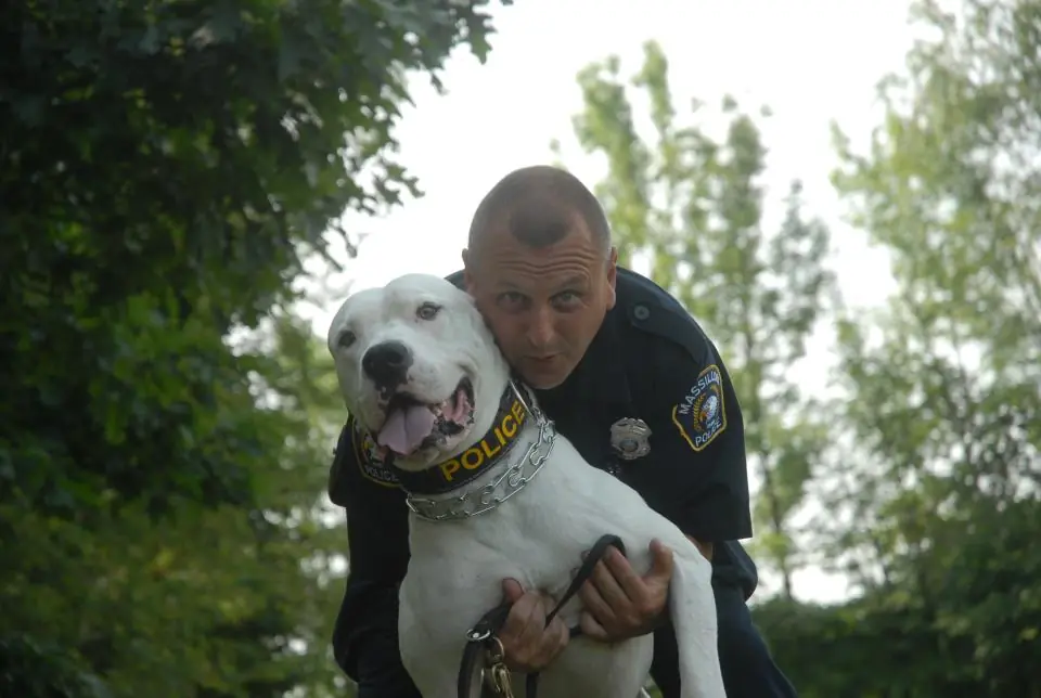 Dogo Argentino: Raza de guerreros.