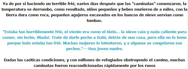 Hellstorm. El verdadero genocidio de la Alemania (mega post)