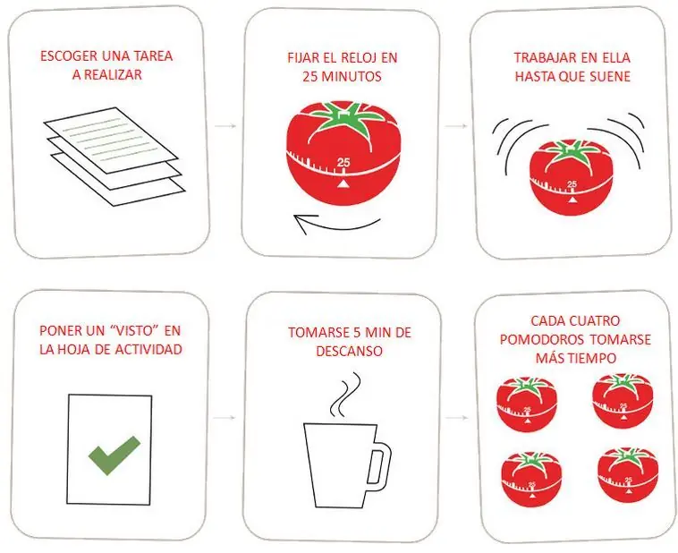 organizar