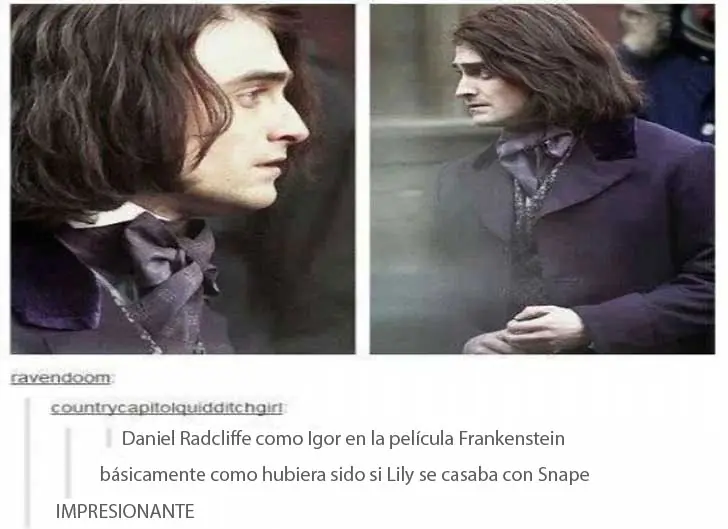 37 lincefotos del Lince Harry Dios.