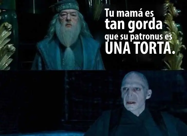 37 lincefotos del Lince Harry Dios.