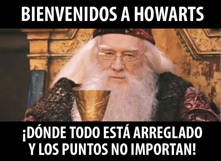 37 lincefotos del Lince Harry Dios.