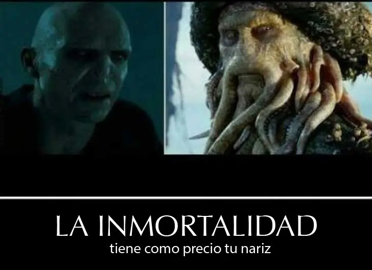 fotos harry potter