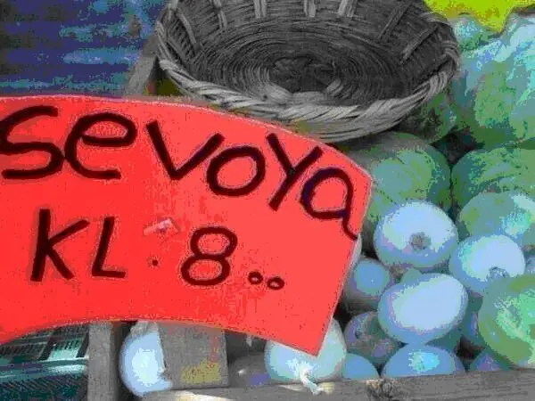 si los hay
