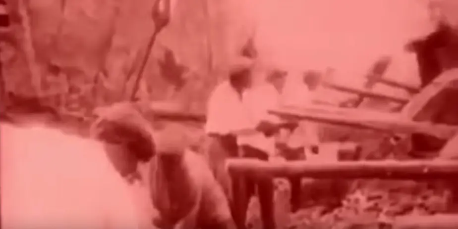 Hellstorm. El verdadero genocidio de la Alemania (mega post)