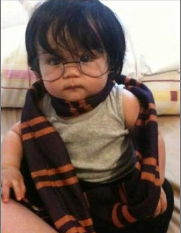 37 lincefotos del Lince Harry Dios.