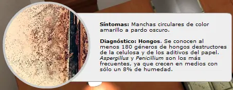 libros