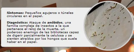 enfermedades