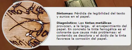 tratamientos
