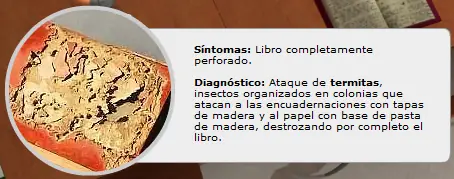 parasitos