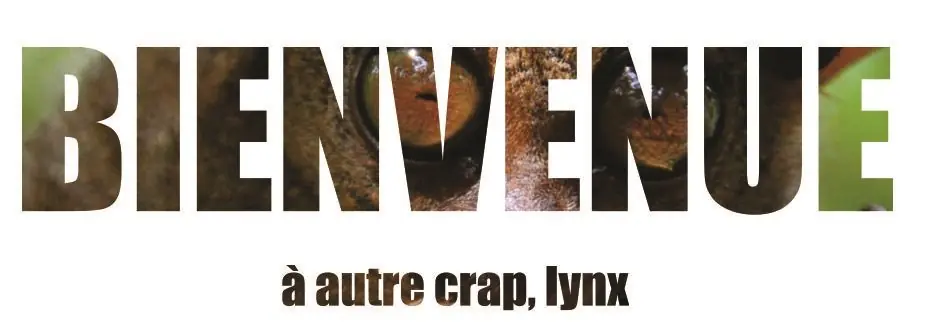 Los linces homenajean al comandante en wikipedia