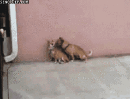 ricardo fort ayudame