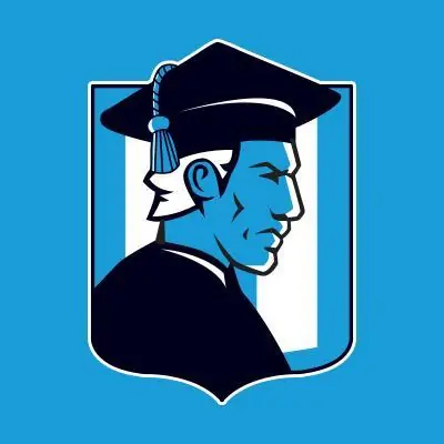 cuadros de futbol estilo usa