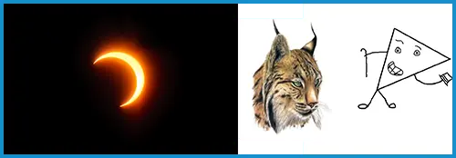 lince
