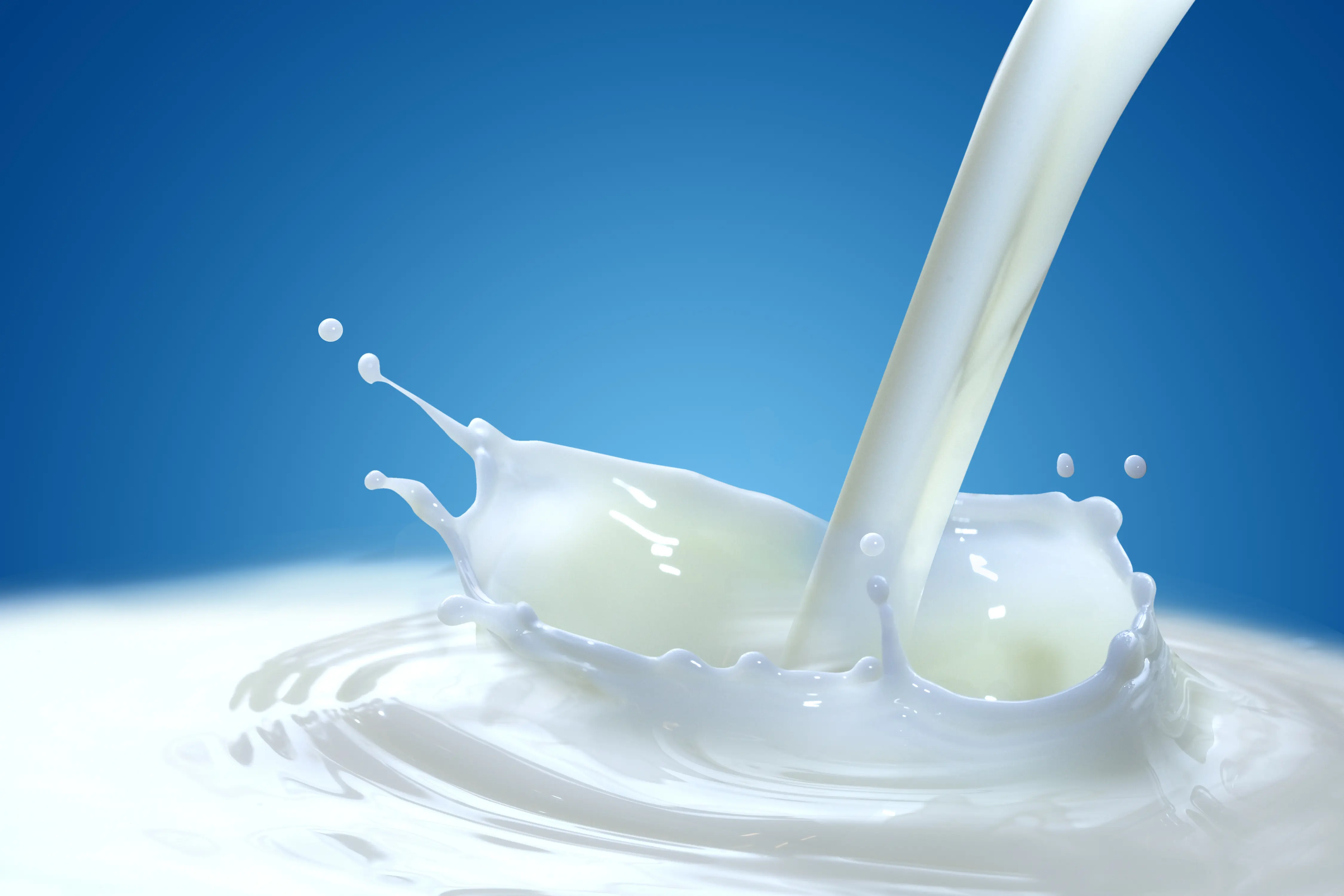 Los mitos sobre la Leche; hace bien o hace mal?