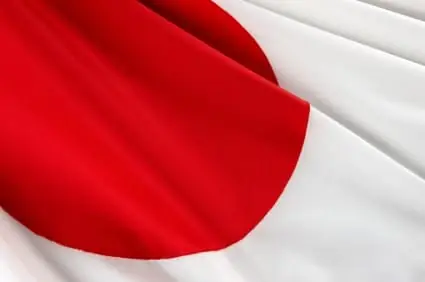 Guia que no hacer en japon