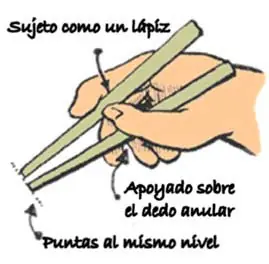 viaje viaje