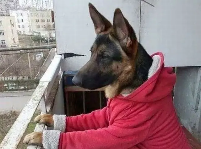 Te saco una sonrisa , Pasa (5)