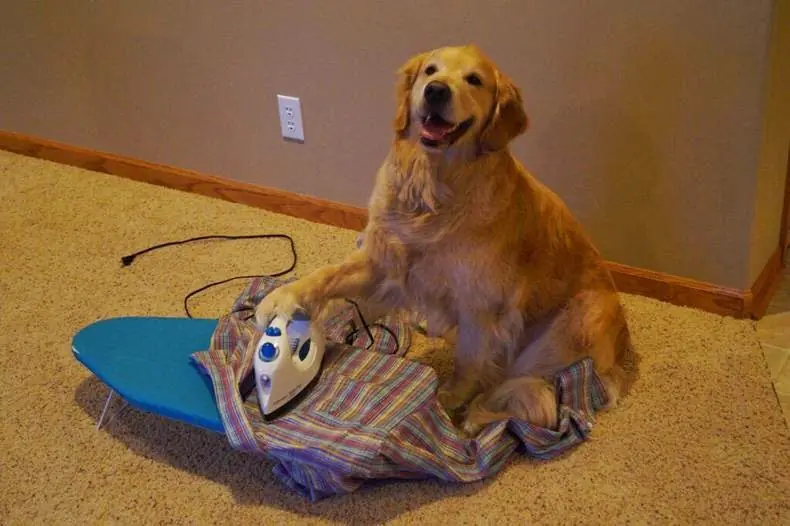 Te saco una sonrisa , Pasa (5)