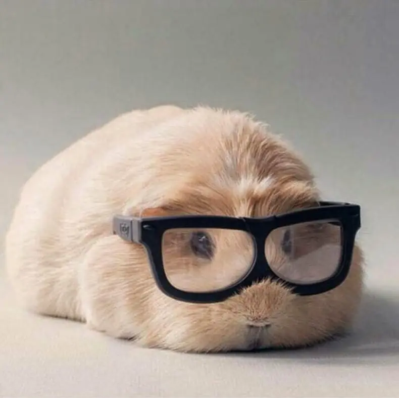 Te saco una sonrisa , Pasa (5)