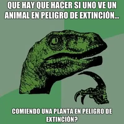 philosoraptor
