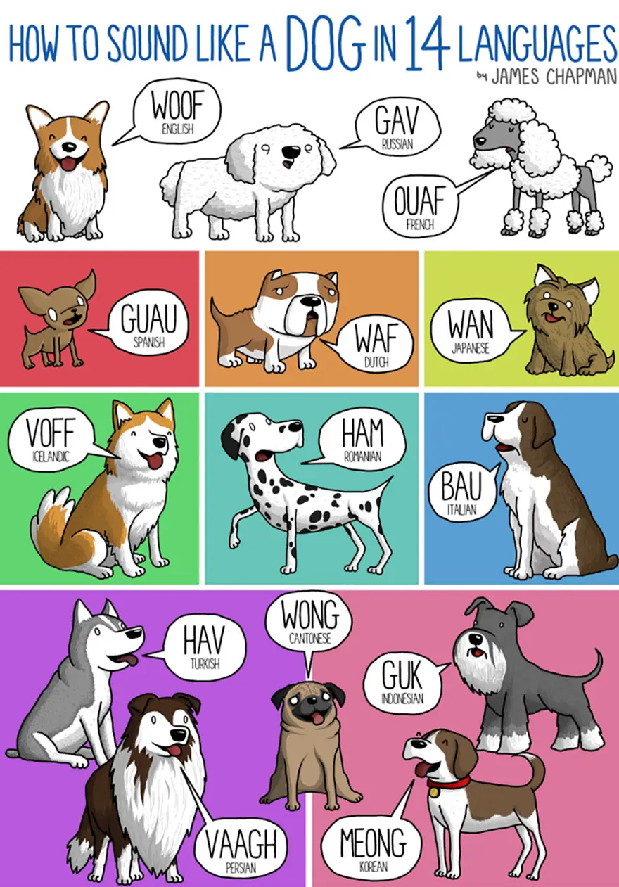 ilustaciones