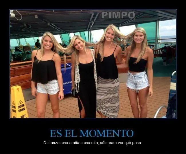 frases