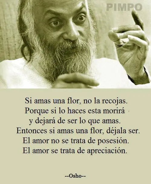 frases