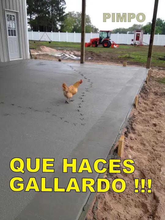 humor