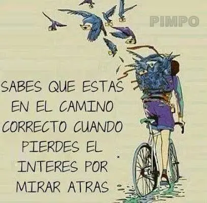 Humor Grafico