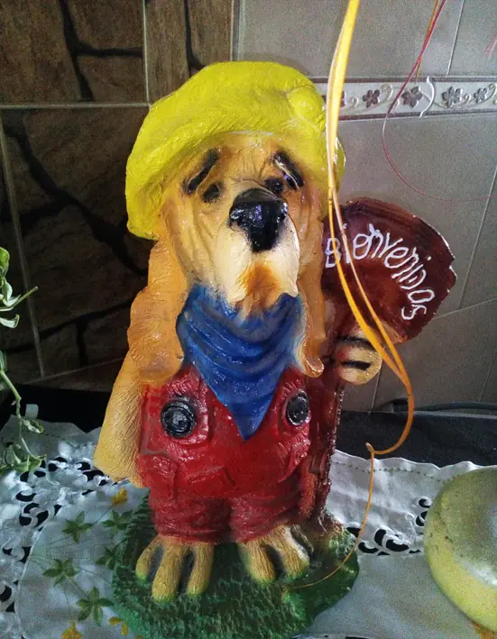 review celular doogee