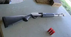 nuevas nuevas
