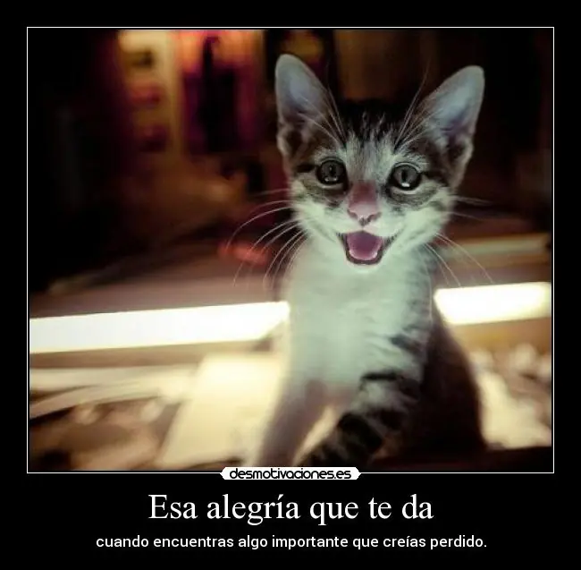humor humor