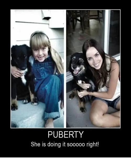 imagenes