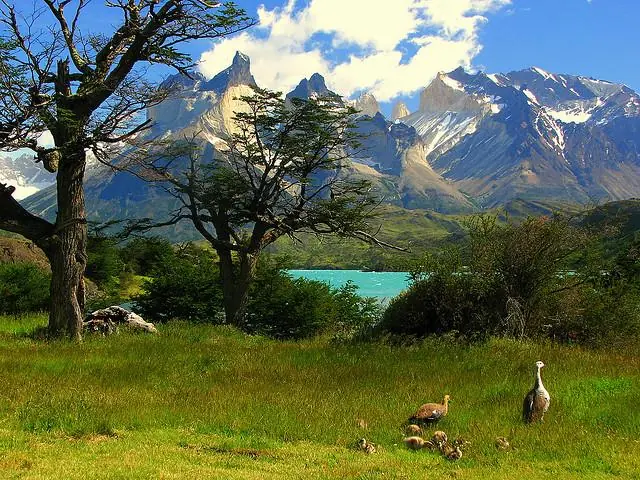 Chile, Yo Te Banco!