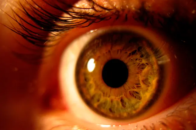 Color de ojos en función de...