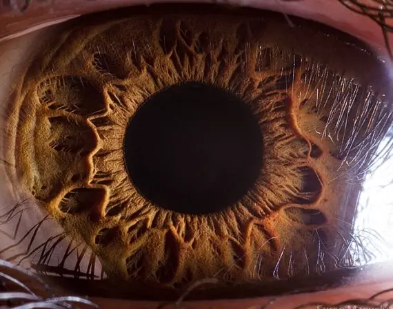 ojo