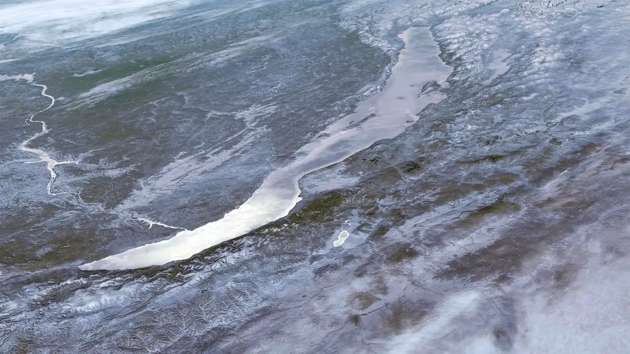 Los records mas espectaculares del mundo natural