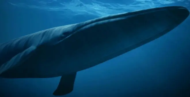 ballena