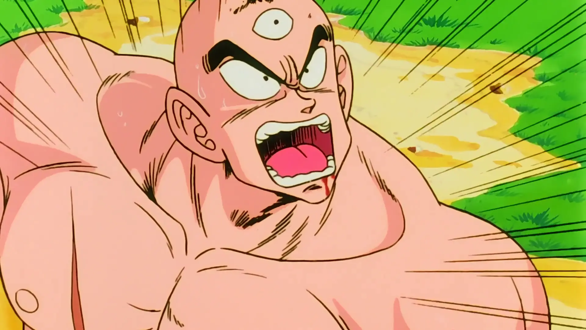 dragon ball z