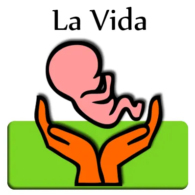 no al aborto