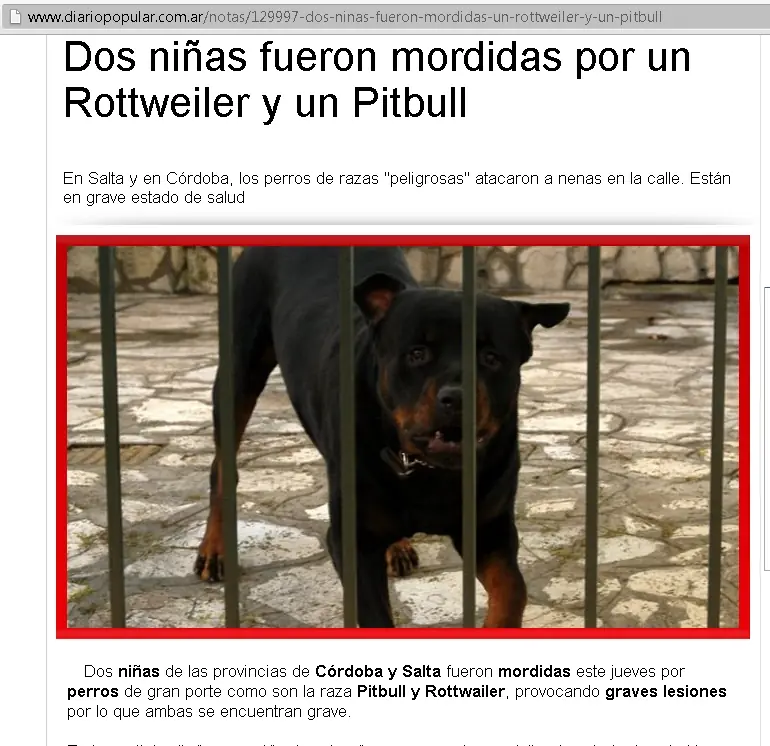 negocio