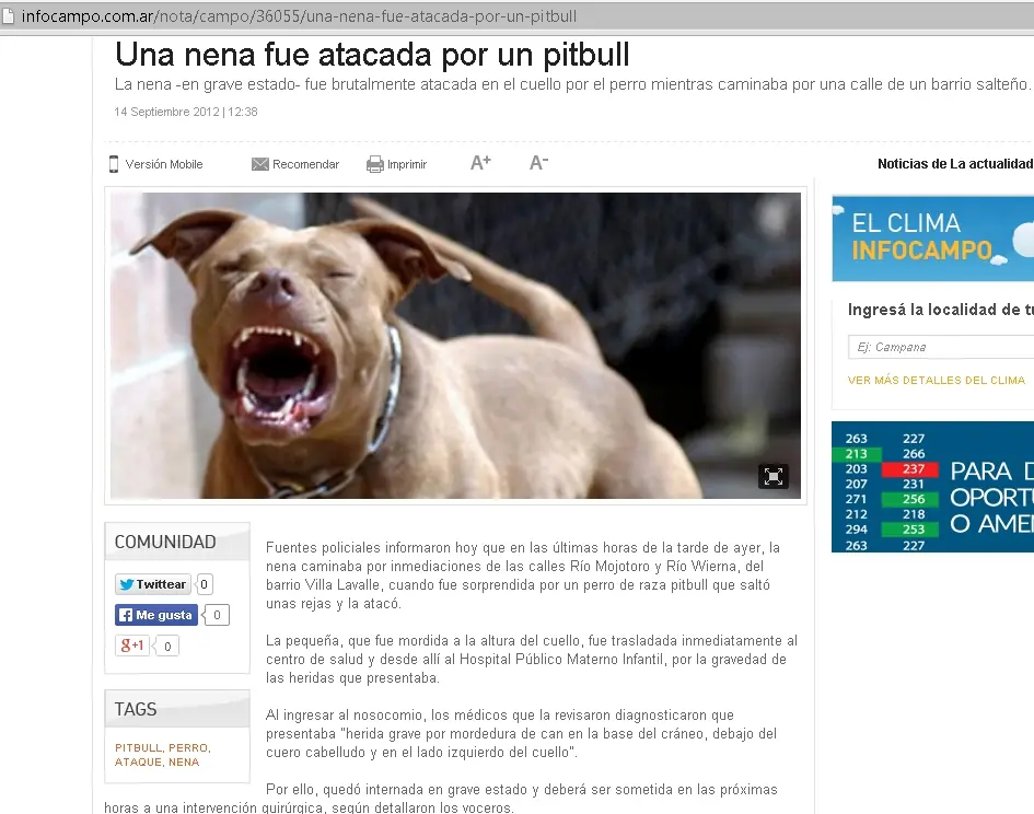 asesino